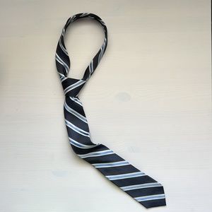 Men's EXPRESS Blue Stripe Silk Tie